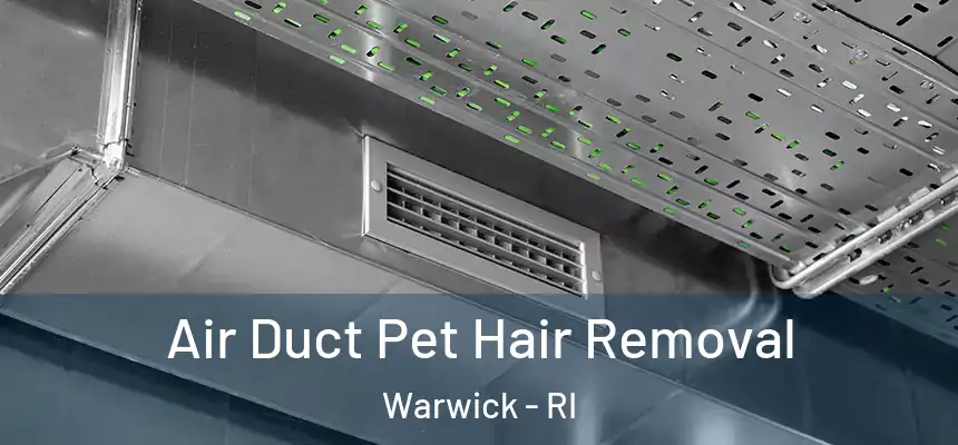 Air Duct Pet Hair Removal Warwick - RI