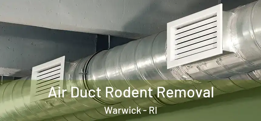 Air Duct Rodent Removal Warwick - RI