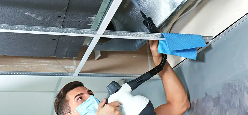 Our Air Duct Rodent Removal Services in Warwick, RI