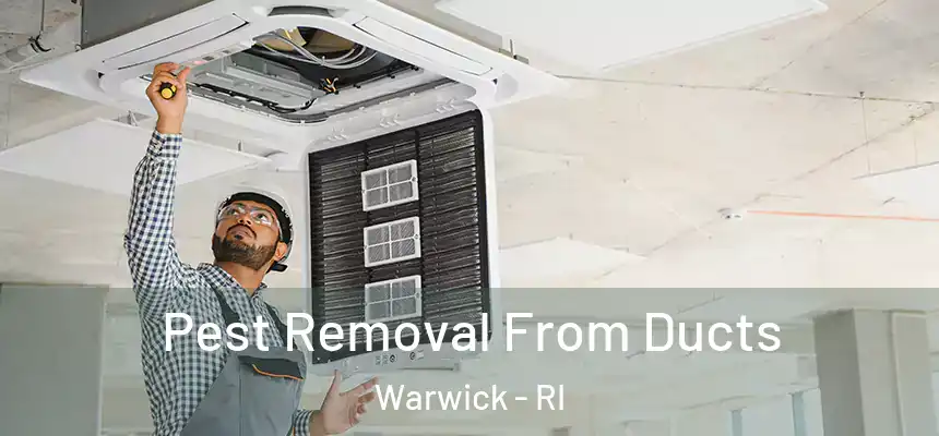  Pest Removal From Ducts Warwick - RI