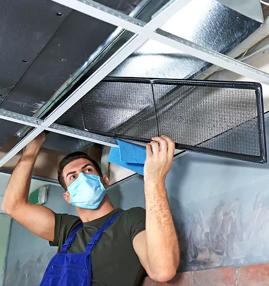 About Air Duct Bacteria Removal in Warwick