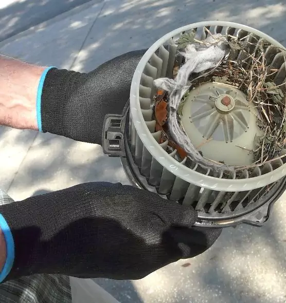 About Air Duct Rat Removal in Warwick, RI