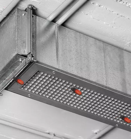 Affordable Insect Removal from Air Ducts in Warwick, RI