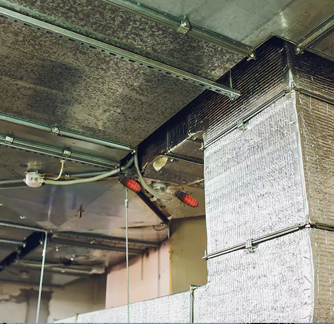 Why Homeowners & Businesses Trust Us in Warwick, RI?