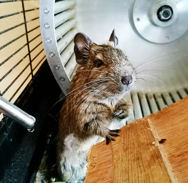 Why Homeowners & Businesses Trust Us Warwick, RI?