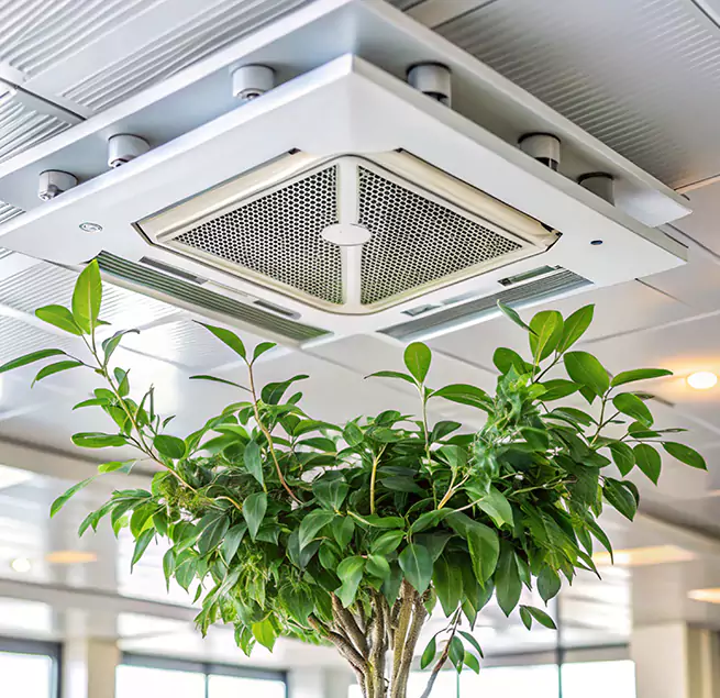 Why Homeowners & Businesses Trust Us in Warwick, RI?